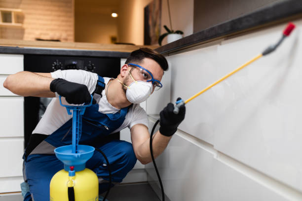 Best Affordable Pest Control Services  in Mechanicsburg, PA