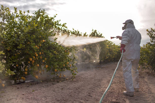 Trusted Mechanicsburg, PA Pest Control Experts