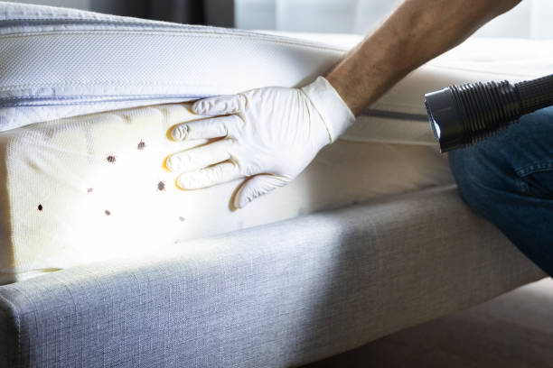 Best Pest Prevention Services  in Mechanicsburg, PA