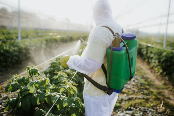 Best Cockroach Control Services  in Mechanicsburg, PA